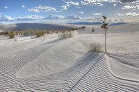 White Sands, NM