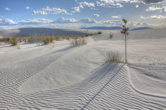White Sands, NM
