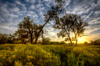 Thompson Ranch