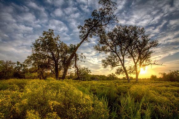 Thompson Ranch