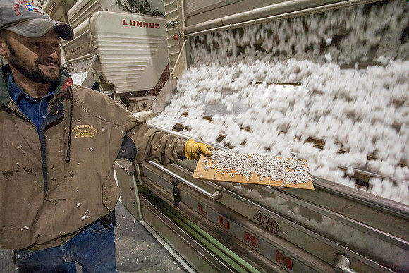 Cotton Gin Project, Plainview, TX