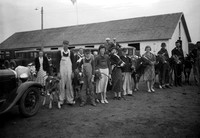 Calves at Fair Show, 1934