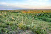 East Camp