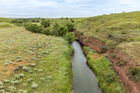 Cole Creek