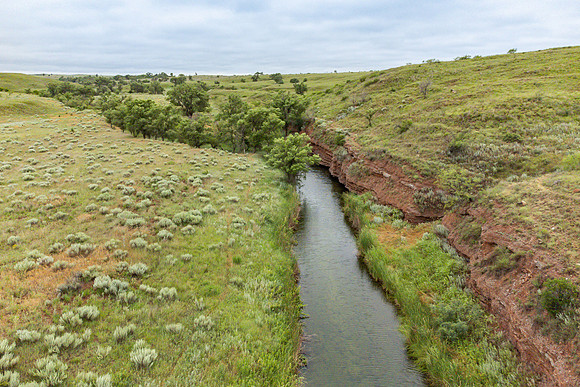Cole Creek
