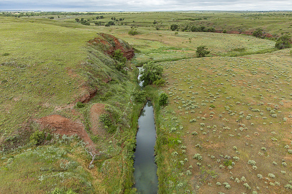Cole Creek