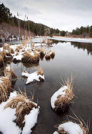 Cimarron Creek in the Winter, Cimarron New Mexico